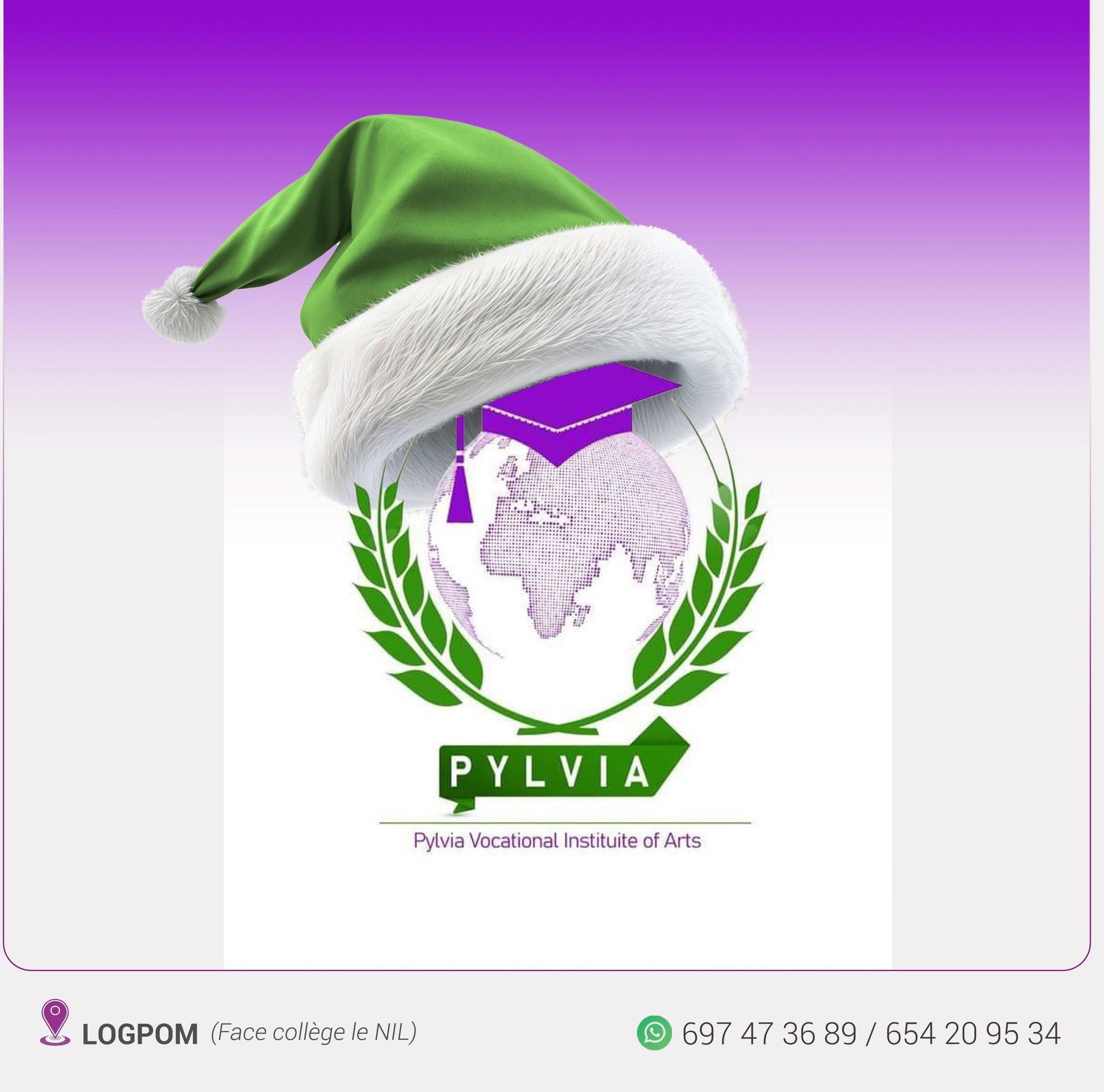 Logo Pylvia Vocational Institute of Arts